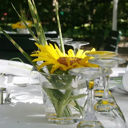 Hotel Alte Post - Restaurant Offen